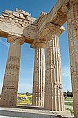 Selinunte the temple hill - A close-up of the Doric columns of temple E, 10 m high and with a diameter of more than 2 meters. 